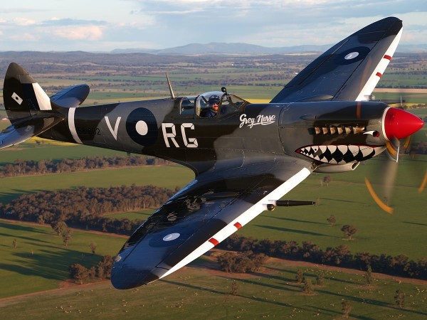 TCFD - Supermarine Spitfire Mk VIII 600x450