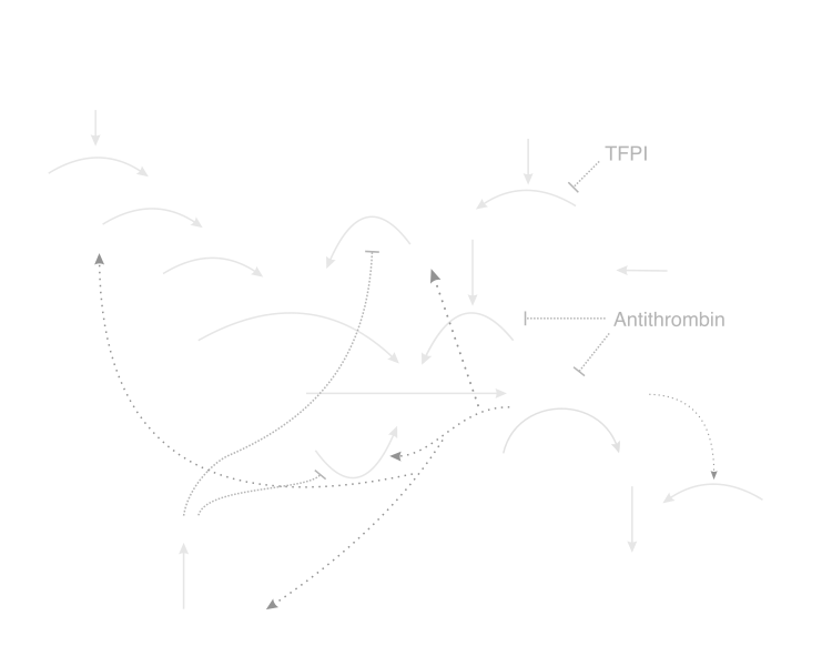 blood coagulation model view mesh cfd