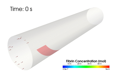 gif animation of blood coagulation process