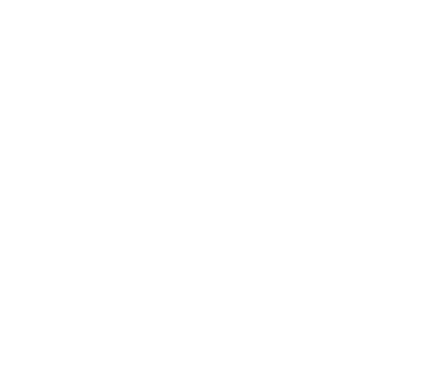 openfoam class virtual inheritance
