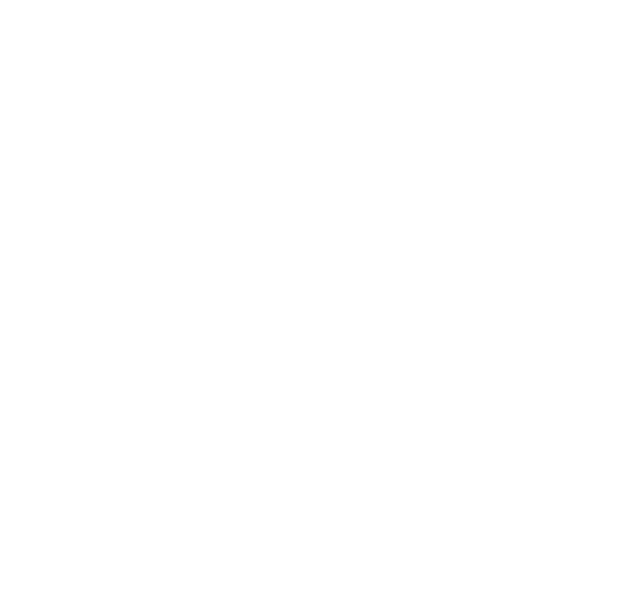 openfoam class virtual inheritance