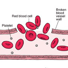 CFD blood coagulation model